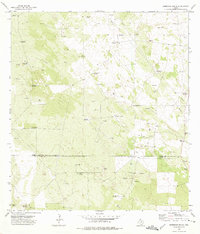 Download a high-resolution, GPS-compatible USGS topo map for Borregos Ranch, TX (1975 edition)