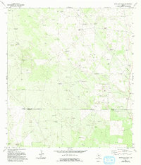 Download a high-resolution, GPS-compatible USGS topo map for Borregos Ranch, TX (1993 edition)
