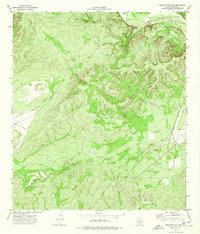 Download a high-resolution, GPS-compatible USGS topo map for Brackettville NE, TX (1976 edition)