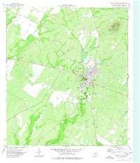 Download a high-resolution, GPS-compatible USGS topo map for Brackettville, TX (1977 edition)