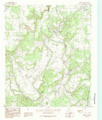 Download a high-resolution, GPS-compatible USGS topo map for Brazos East, TX (1984 edition)