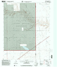 Download a high-resolution, GPS-compatible USGS topo map for Brickel, TX (2001 edition)