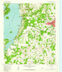 preview thumbnail of historical topo map of Wise County, TX in 1960