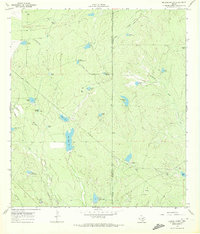 Download a high-resolution, GPS-compatible USGS topo map for Briscoe Ranch, TX (1972 edition)