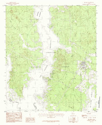 Download a high-resolution, GPS-compatible USGS topo map for Broaddus, TX (1984 edition)
