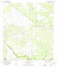 Download a high-resolution, GPS-compatible USGS topo map for Brundage, TX (1975 edition)