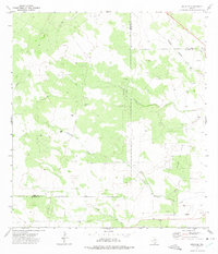 Download a high-resolution, GPS-compatible USGS topo map for Bruni SE, TX (1975 edition)