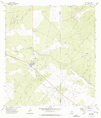 preview thumbnail of historical topo map of Bruni, TX in 1972