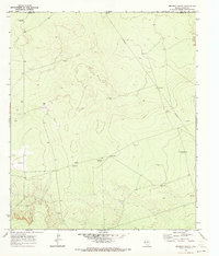 Download a high-resolution, GPS-compatible USGS topo map for Brunson Ranch, TX (1972 edition)