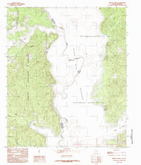 preview thumbnail of historical topo map of Shelby County, TX in 1984