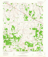 Download a high-resolution, GPS-compatible USGS topo map for Brushy Mound, TX (1963 edition)