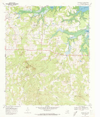 Download a high-resolution, GPS-compatible USGS topo map for Bryans Mill, TX (1973 edition)