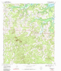 Download a high-resolution, GPS-compatible USGS topo map for Bryans Mill, TX (1985 edition)