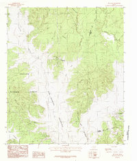 Download a high-resolution, GPS-compatible USGS topo map for Buck Bay, TX (1984 edition)