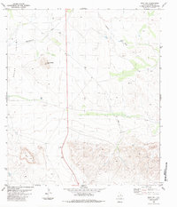 Download a high-resolution, GPS-compatible USGS topo map for Buck Hill, TX (1984 edition)