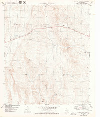 Download a high-resolution, GPS-compatible USGS topo map for Buckhorn Draw West, TX (1979 edition)