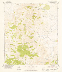 Download a high-resolution, GPS-compatible USGS topo map for Buckhorn Mountain, TX (1978 edition)
