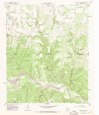 Download a high-resolution, GPS-compatible USGS topo map for Buckle L Ranch, TX (1969 edition)