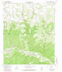 Download a high-resolution, GPS-compatible USGS topo map for Buckle L Ranch, TX (1981 edition)