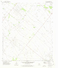 Download a high-resolution, GPS-compatible USGS topo map for Buena Vista, TX (1975 edition)