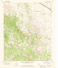 Download a high-resolution, GPS-compatible USGS topo map for Buffalo Arroyo, TX (1966 edition)