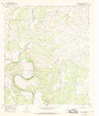Download a high-resolution, GPS-compatible USGS topo map for Buffalo Bluff, TX (1969 edition)