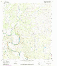 Download a high-resolution, GPS-compatible USGS topo map for Buffalo Bluff, TX (1988 edition)