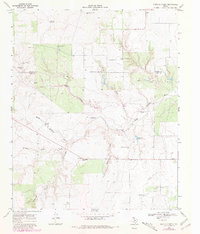 Download a high-resolution, GPS-compatible USGS topo map for Buffalo Creek, TX (1981 edition)