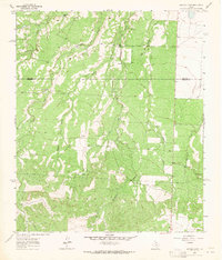 Download a high-resolution, GPS-compatible USGS topo map for Buffalo Draw, TX (1964 edition)
