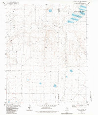Download a high-resolution, GPS-compatible USGS topo map for Buffalo Lake SW, TX (1984 edition)