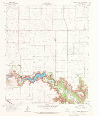 Download a high-resolution, GPS-compatible USGS topo map for Buffalo Springs Lake, TX (1966 edition)