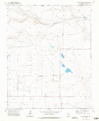 Download a high-resolution, GPS-compatible USGS topo map for Buffalo Springs, TX (1975 edition)