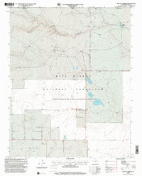 Download a high-resolution, GPS-compatible USGS topo map for Buffalo Springs, TX (2001 edition)