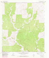 Download a high-resolution, GPS-compatible USGS topo map for Buffalo Well SE, TX (1982 edition)