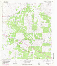 Download a high-resolution, GPS-compatible USGS topo map for Buffalo Well SW, TX (1983 edition)