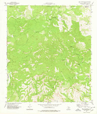 Download a high-resolution, GPS-compatible USGS topo map for Bull Waterhole, TX (1977 edition)