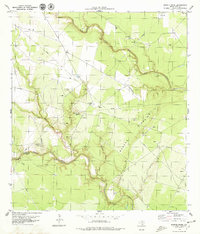 Download a high-resolution, GPS-compatible USGS topo map for Burkes Ridge, TX (1979 edition)