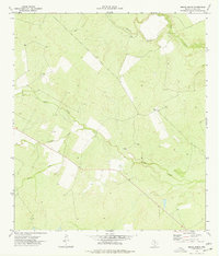 Download a high-resolution, GPS-compatible USGS topo map for Burns Ranch, TX (1977 edition)