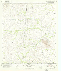 Download a high-resolution, GPS-compatible USGS topo map for Burnt Spring Hills, TX (1976 edition)