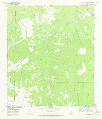 Download a high-resolution, GPS-compatible USGS topo map for Burr Oak Creek, TX (1973 edition)