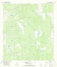 Download a high-resolution, GPS-compatible USGS topo map for Burrito Tank, TX (1980 edition)