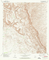 Download a high-resolution, GPS-compatible USGS topo map for Burro Canyon, TX (1976 edition)