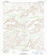 Download a high-resolution, GPS-compatible USGS topo map for Busher Canyon, TX (1971 edition)