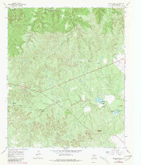 Download a high-resolution, GPS-compatible USGS topo map for Buzzard Peak, TX (1981 edition)