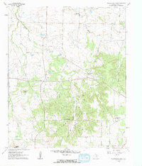 Download a high-resolution, GPS-compatible USGS topo map for Buzzard Roost Knob, TX (1963 edition)