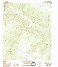 Download a high-resolution, GPS-compatible USGS topo map for Cactus Creek, TX (1995 edition)