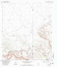 Download a high-resolution, GPS-compatible USGS topo map for Cactus Flat, TX (1983 edition)