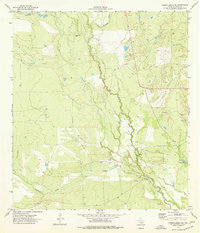 Download a high-resolution, GPS-compatible USGS topo map for Caiman Creek NE, TX (1977 edition)