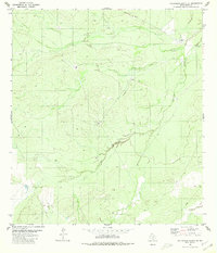 Download a high-resolution, GPS-compatible USGS topo map for Callaghan Ranch SE, TX (1980 edition)