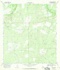preview thumbnail of historical topo map of McMullen County, TX in 1967
